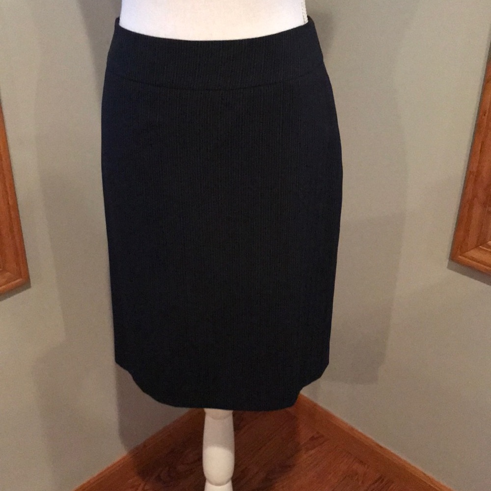 NWT Tahari skirt